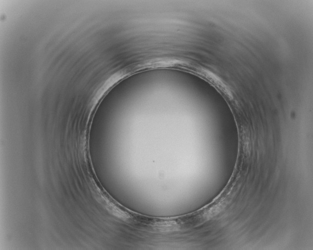 X0000073451186200608111342