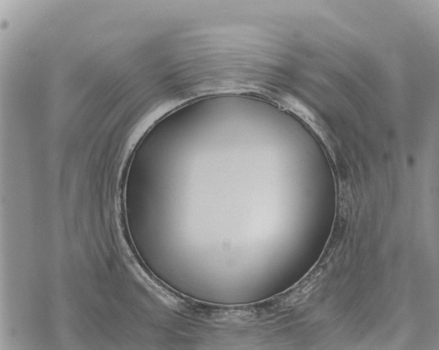 X0000073451187200608111342