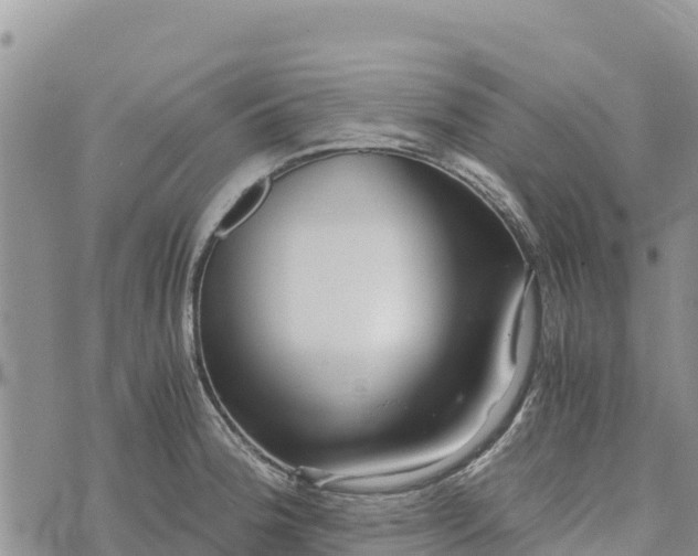 X0000073451188200608111342