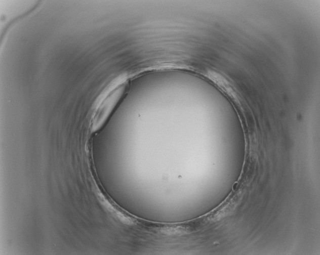 X0000073451189200608111342