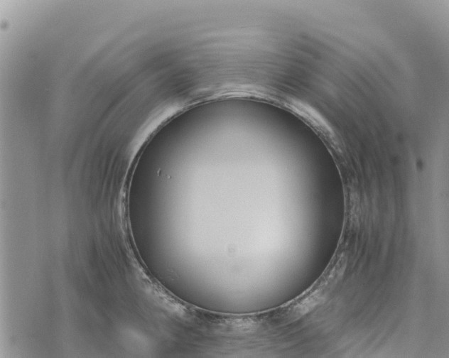 X0000073451190200608111342