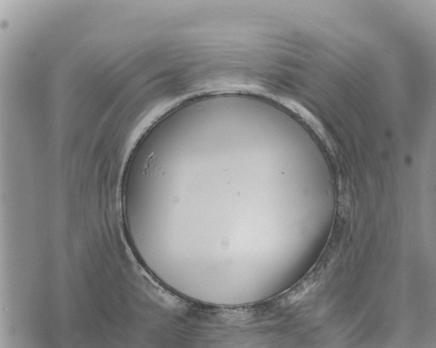 X0000073451191200608111342