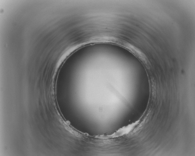 X0000073451192200608111342