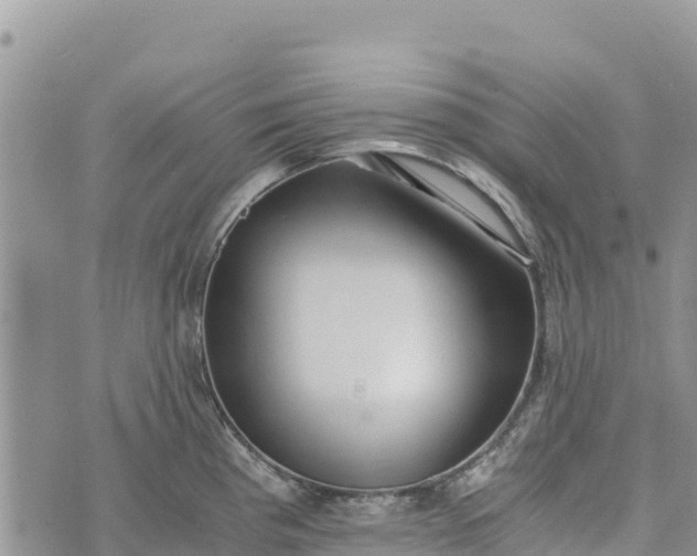 X0000073451193200608111342