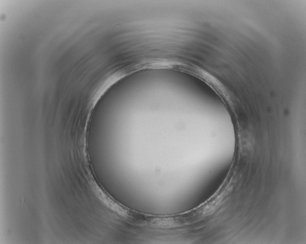 X0000073451194200608111342