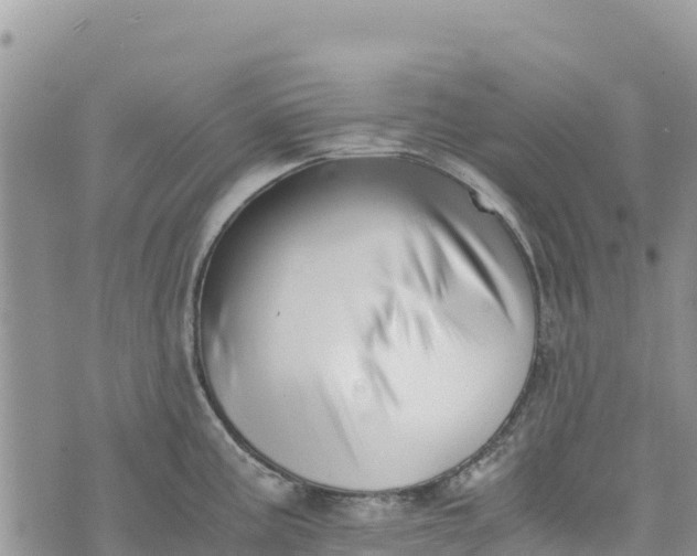 X0000073451195200608111342