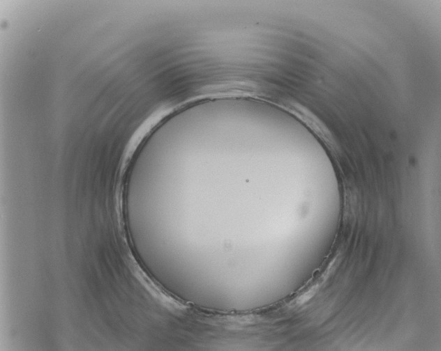 X0000073451196200608111342