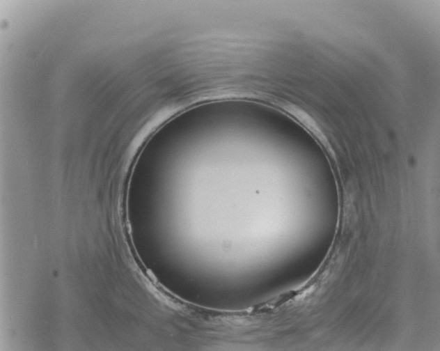 X0000073451197200608111342