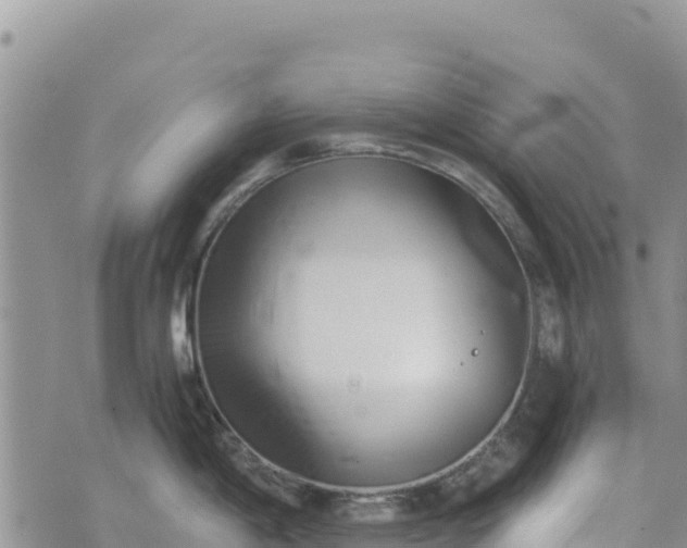 X0000073451198200608111342