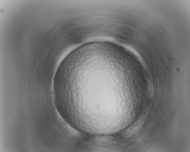 X0000073451199200608111342