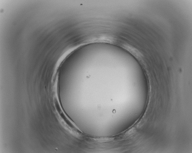 X0000073451200200608111342