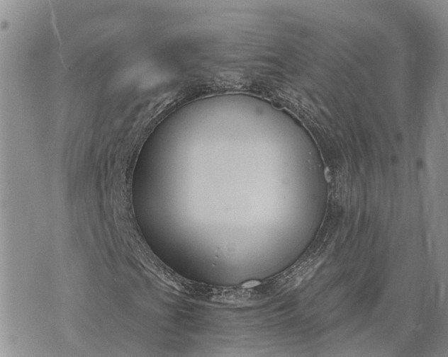 X0000073451201200608111341