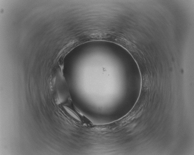 X0000073451202200608111341