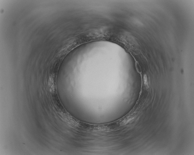 X0000073451203200608111341