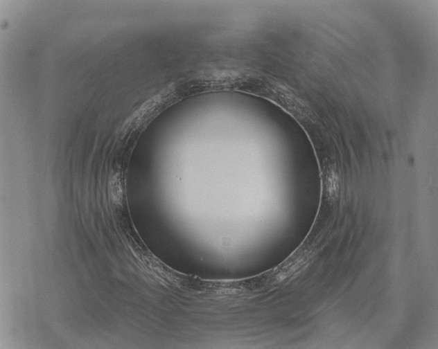 X0000073451204200608111341