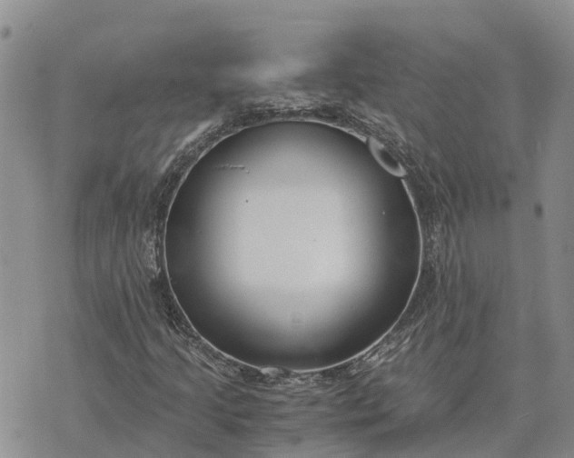 X0000073451205200608111341