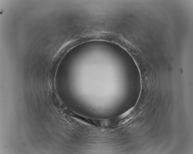 X0000073451206200608111341