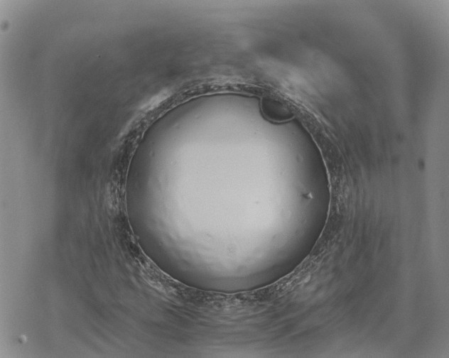 X0000073451207200608111342