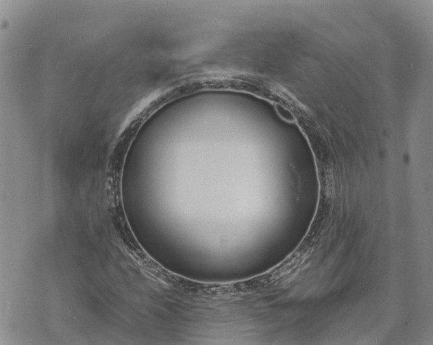 X0000073451208200608111342