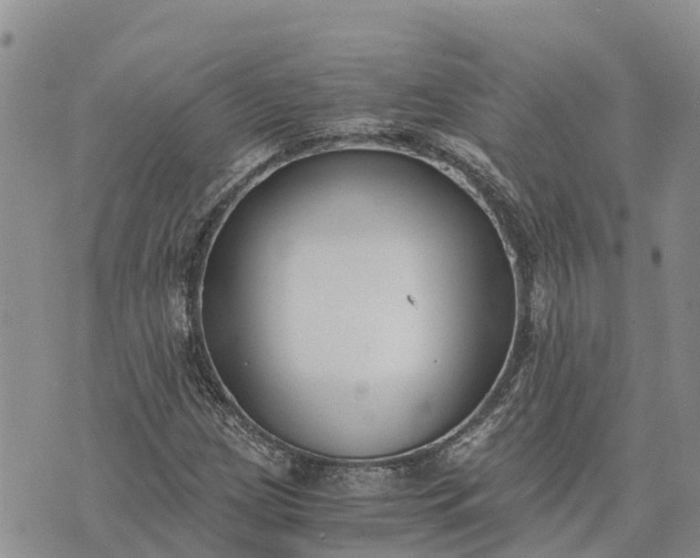 X0000073451209200608111342