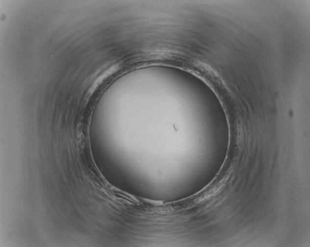 X0000073451210200608111342