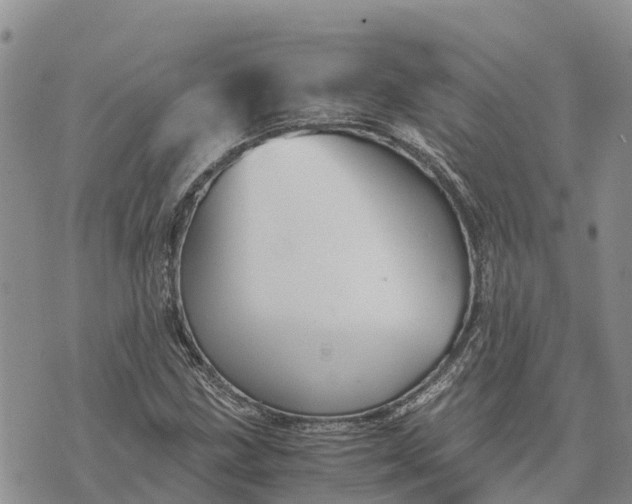 X0000073451211200608111342