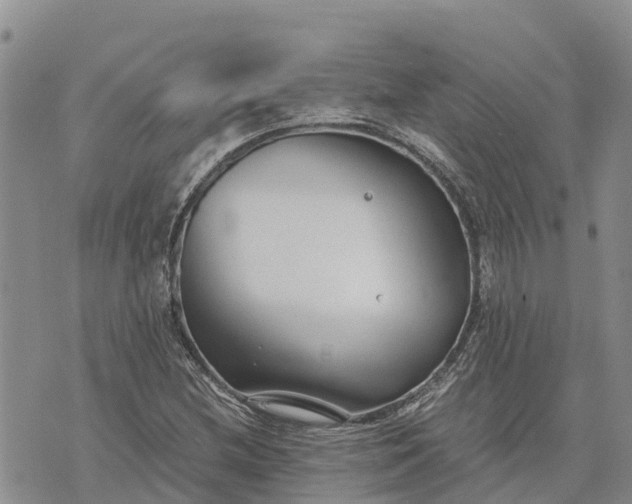 X0000073451212200608111342