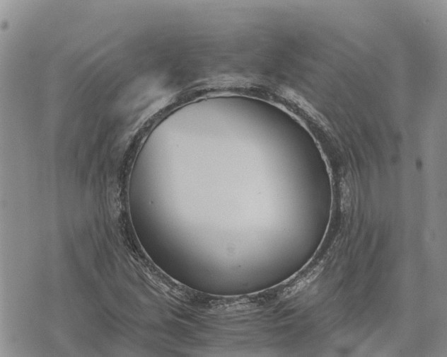 X0000073451213200608111342