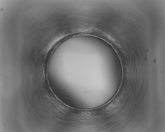 X0000073451214200608111342