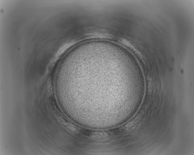 X0000073451215200608111342