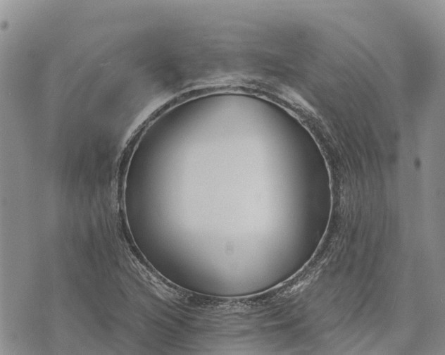 X0000073451216200608111342