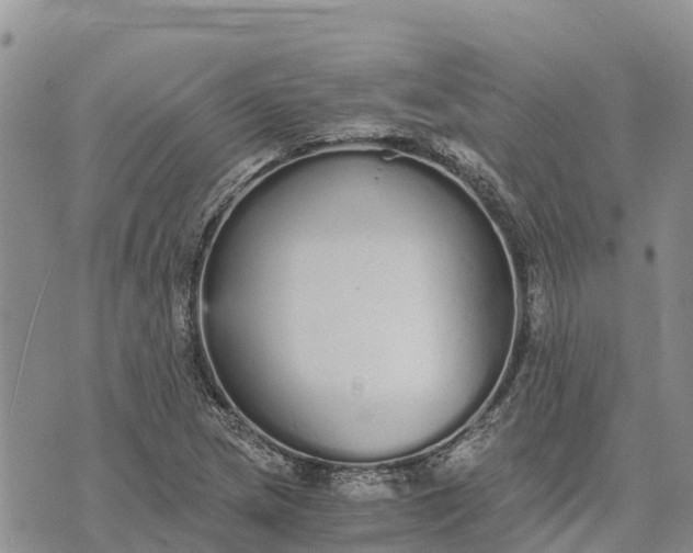 X0000073451217200608111342