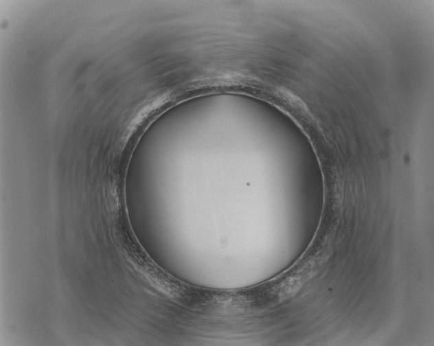 X0000073451218200608111342