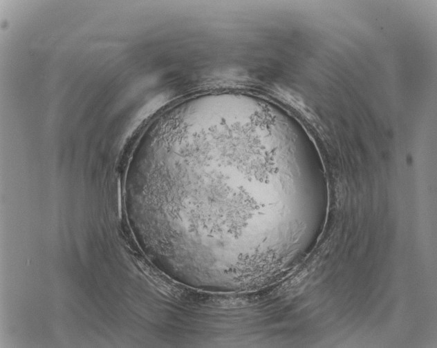 X0000073451219200608111342