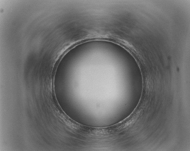 X0000073451220200608111342