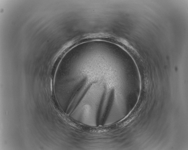 X0000073451221200608111342