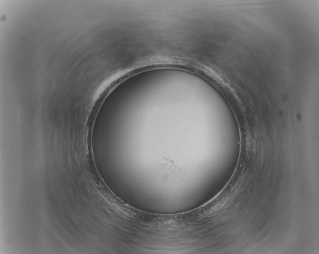 X0000073451222200608111342