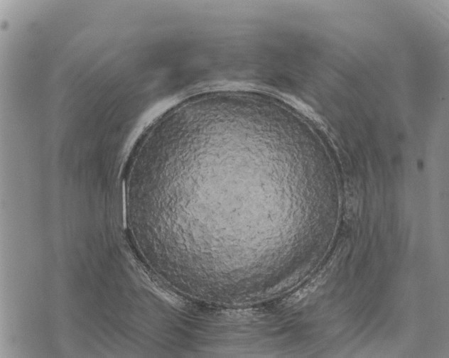 X0000073451223200608111342