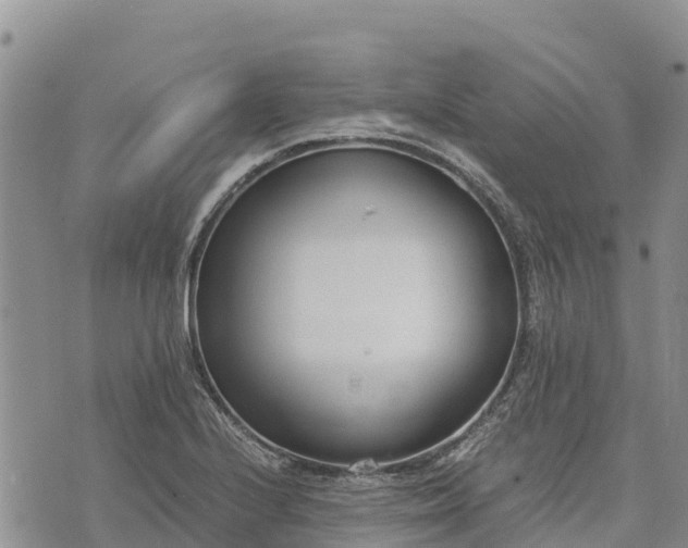 X0000073451224200608111342