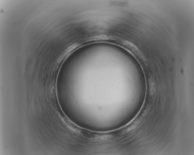 X0000073451225200608111342