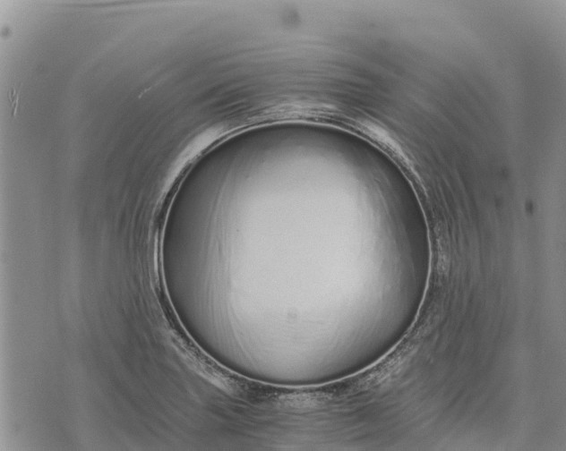 X0000073451227200608111342