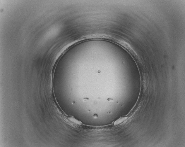 X0000073451228200608111342