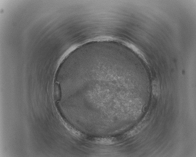 X0000073451229200608111342