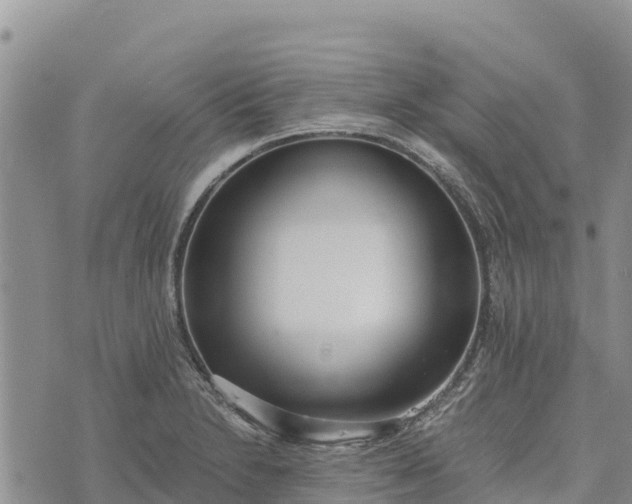 X0000073451230200608111342