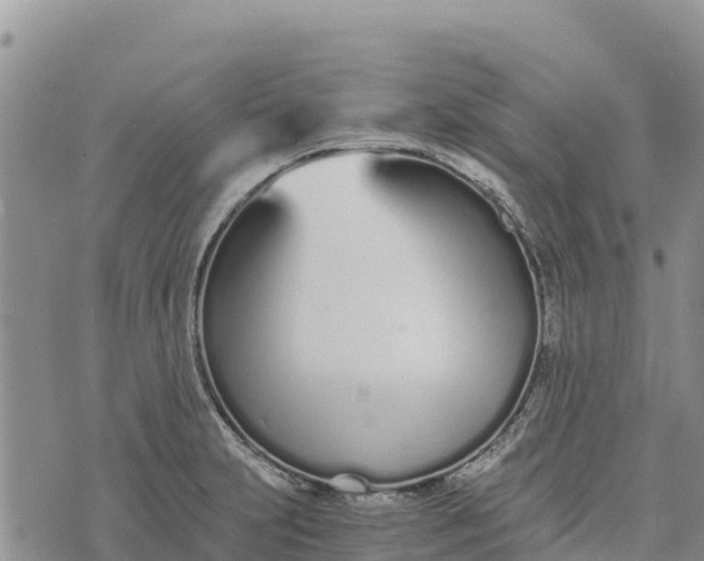 X0000073451231200608111342