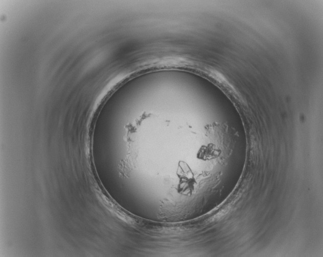 X0000073451232200608111342