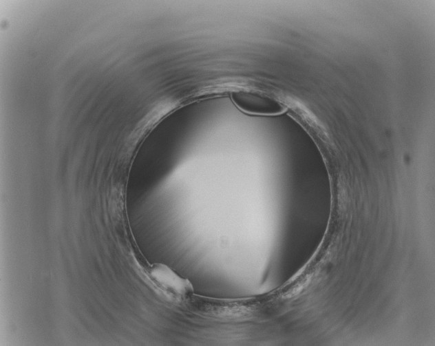 X0000073451233200608111342