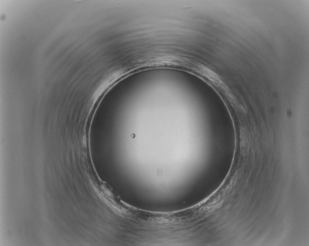 X0000073451234200608111342