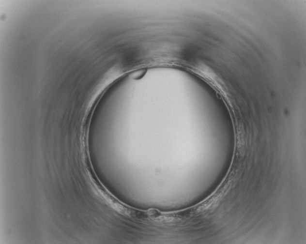 X0000073451235200608111342