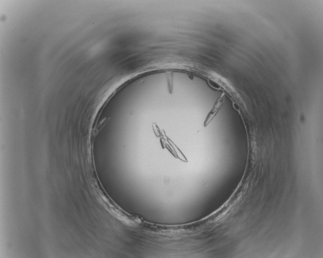 X0000073451236200608111342